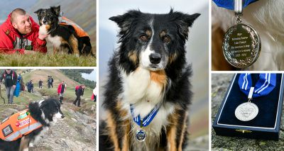 Mountain rescue dog awarded 'animal OBE'